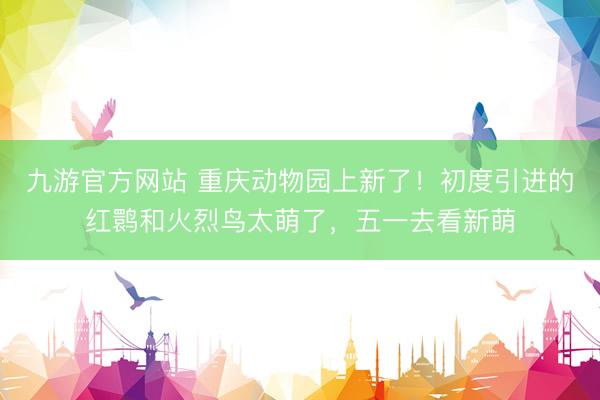 九游官方网站 重庆动物园上新了！初度引进的红鹮和火烈鸟太萌了，五一去看新萌